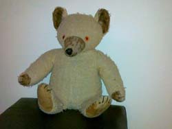 verna teddy bear